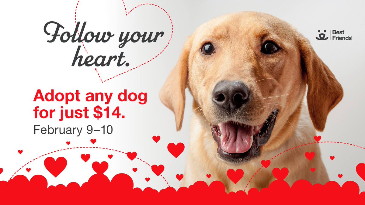 NYC Social tweet media