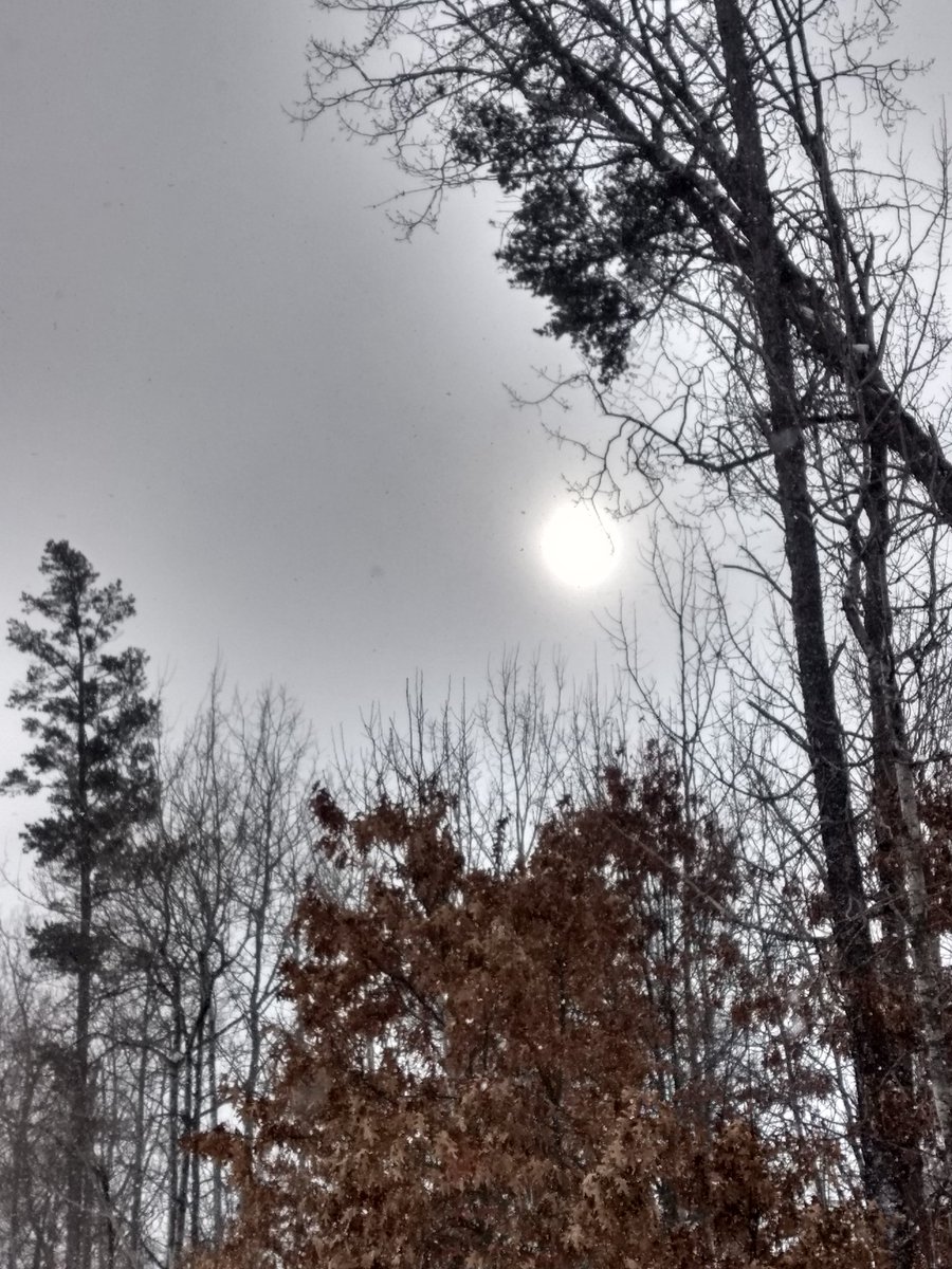 skhelm's tweet image. And the sun just teases us. Pretending it doesn't see how annoyed we are becoming.