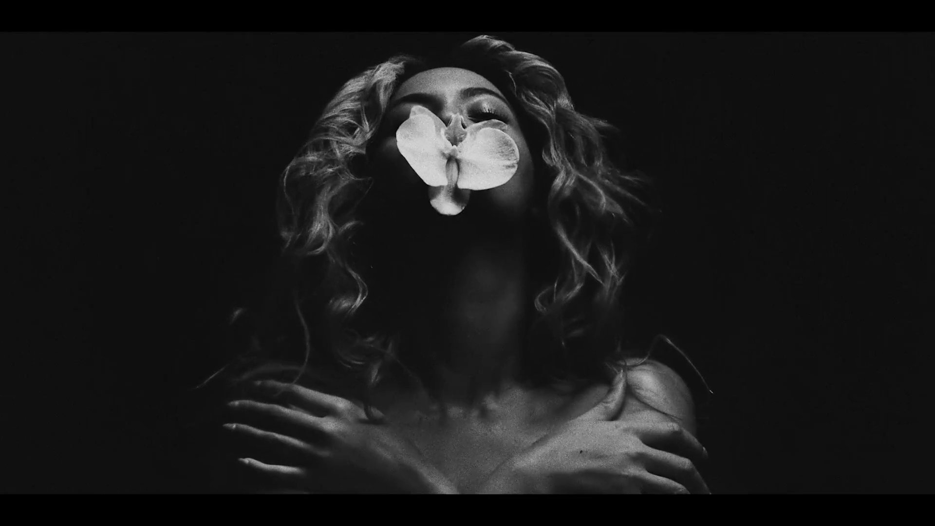 BEYONCÉ LEGION on Twitter: BEYONCÉ LEGION on Twitter: