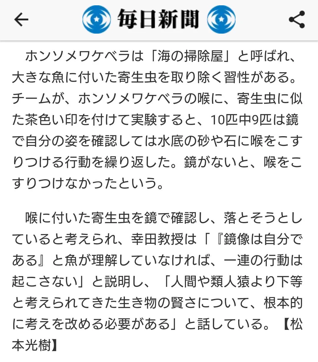 魚が鏡を見る…だと？魚の知能が実はスゴかった！