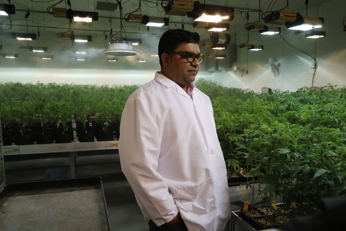 norcalcann's tweet photo. βThis is our coming-out party. Itβs waking up and doing what you love.β - Jigar Patel, President as told to the @nytimes #cannabis #california #1lyfe https://t.co/hN07Xos5Ss https://t.co/RY8jlAuqSI