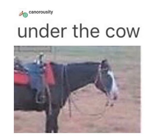 MemesWindow's tweet image. under the cow-❗️-
-
-
#dank#dankmeme#dankmemes#dankmemesdaily#dankmemez#dankmemezdaily#clean#meme#memes#memez#cleanmemes#cleanmeme#cleanmemesdaily#cleanmemez#funny#funnymeme#funnymemes#meme#cool#lol#haha#ha#verycool#laugh#lmao#lmfao#shoutoutforshoutout#sfs#s4s#😂