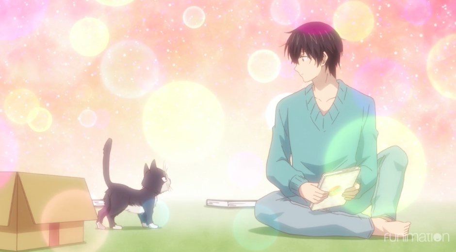 Funimation tweet picture
