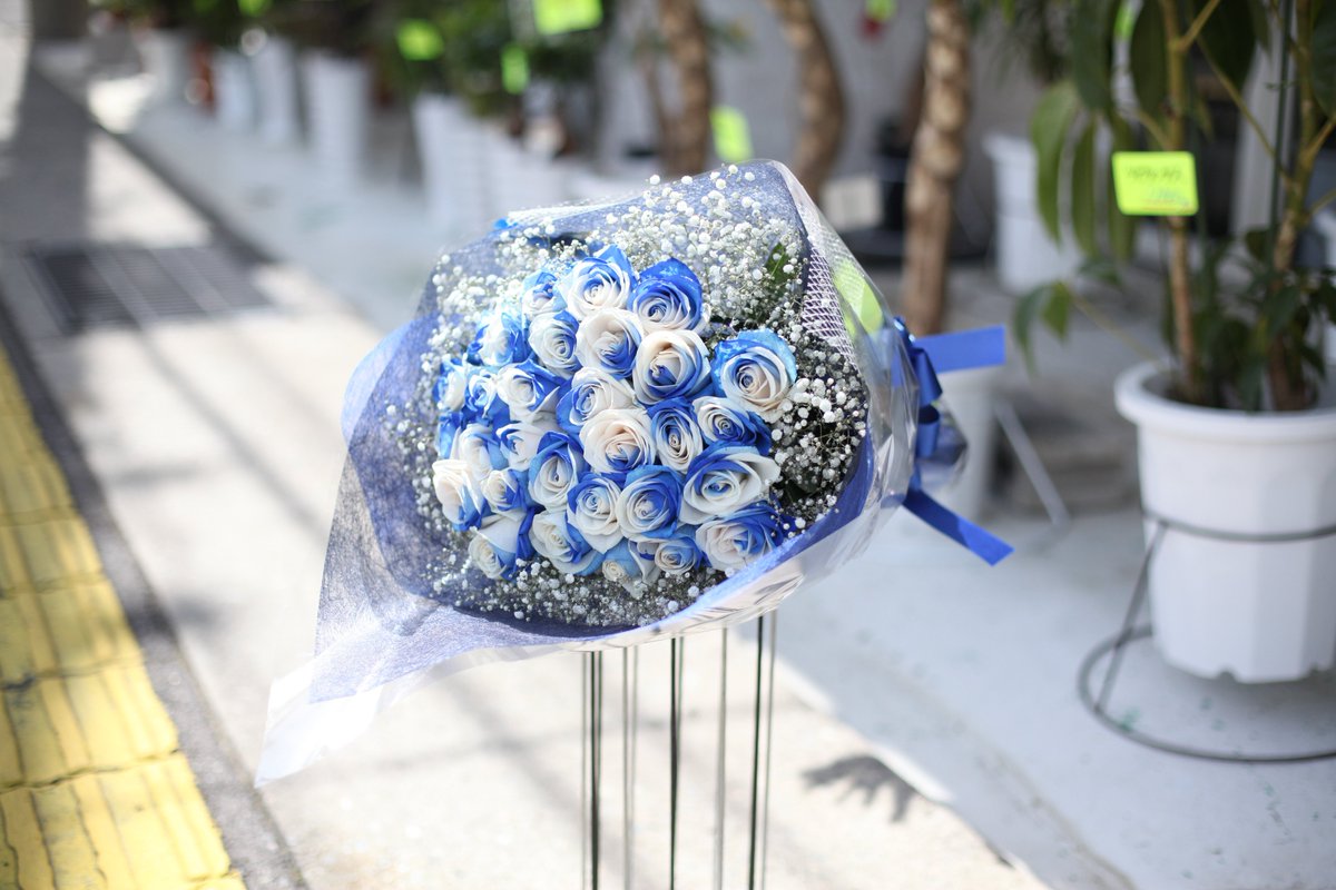 ローズショップ בטוויטר レインボーローズ ブルーアンドホワイト 花言葉は 永遠の愛 ギフトアレンジメント ギフト花束 本数指定 全国配送可能 電話 0266 28 11 パソコン T Co Gv5jrnhxtz 携帯 T Co Oztfqb8cvc T Co Oxv9zfkqeb