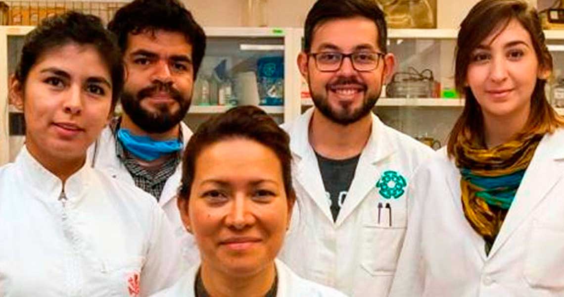 UNoticias's tweet photo. #Internacionales Científica mexicana descubre cura para eliminar Virus de Papiloma Humano al 100% https://t.co/gAN9nuer0L https://t.co/ZYPqlmDXzN