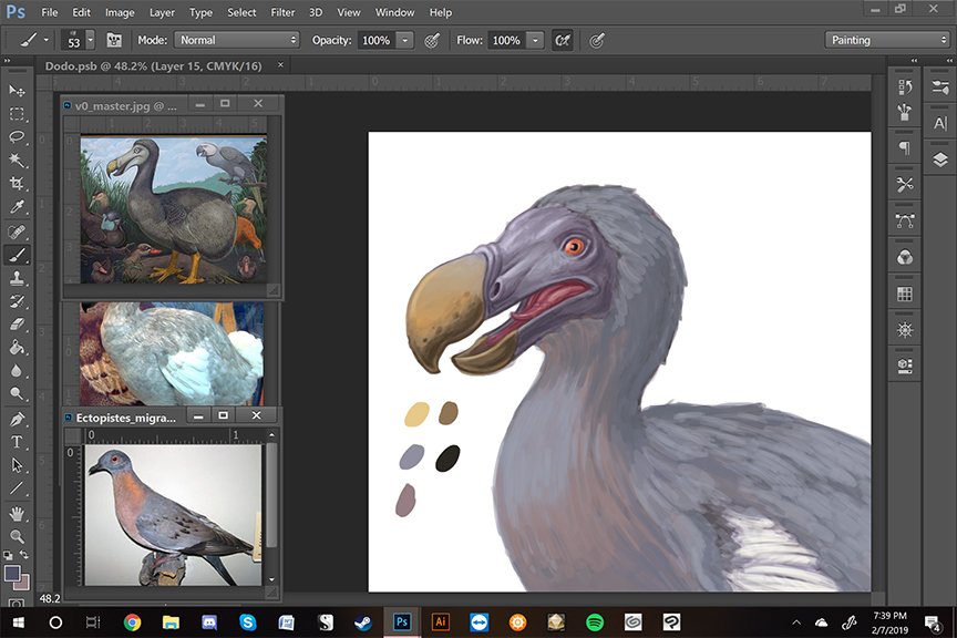 0CoffeeBlack0's tweet photo. Color #workinprogress of #Raphus cucullatus (The #Dodo).

#wip #bird #pigeon #holocene #paleo #paleontology #paleoart #sciart #educational #naturalhistory #extinctanimals #digitalart #digitalillustration #illustration #art #painting #drawing #science #artistsontwitter https://t.co/67F9m61hkb