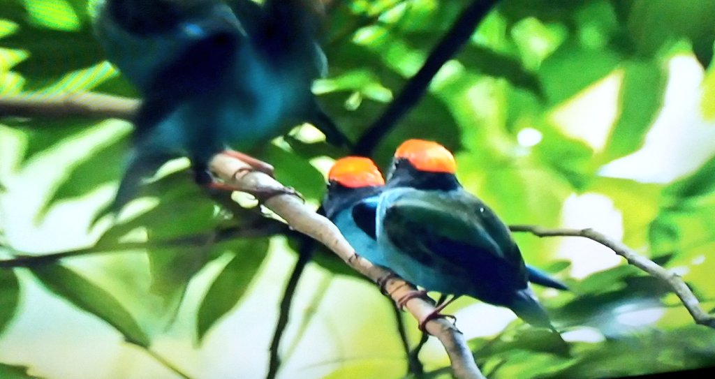그냥 내가 힘을얻고
다시 스스로
일어날때까지
옆에서 오랫동안 기다려줄게
멀지도 가깝지도 않는
거리에서 사랑의
눈으로 지켜보아 줄게
포근한 이불처럼
말없이
너의 새벽을 덮어줄게

🌾-남정림, 발효된 사랑을 할거야 중에서