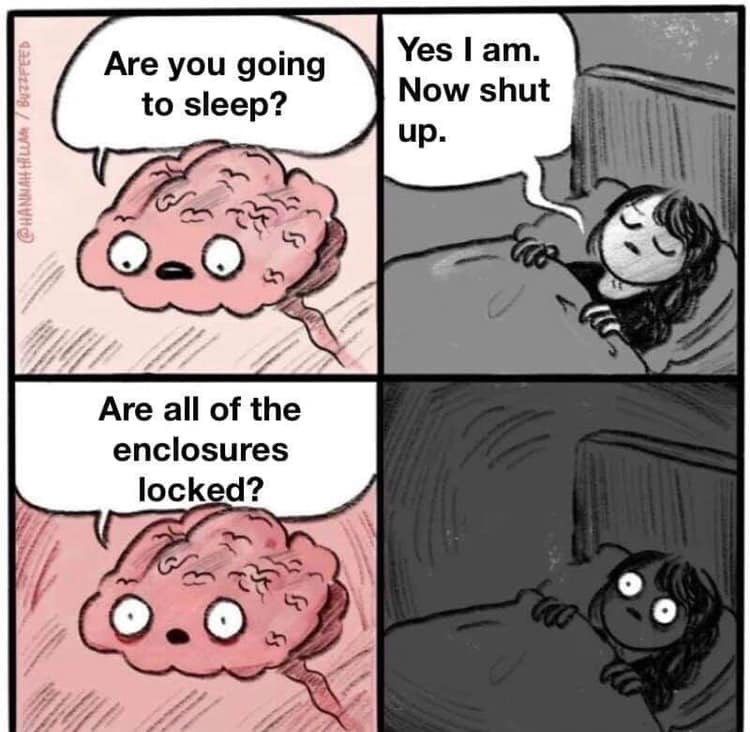 emzoticofficial's tweet photo. Practically all pet keepers 😏 https://t.co/reaANkV957