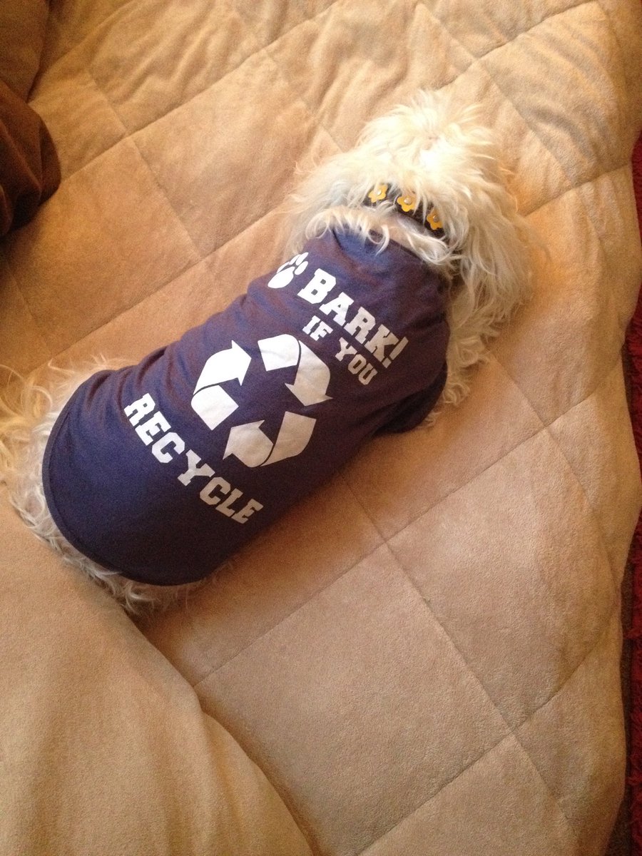 Katie Jo Passero tweet media