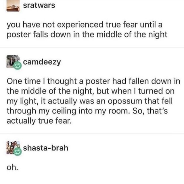 MemesWindow's tweet image. *starts whipping furiously*-👌
-
-
-
#dank#dankmeme#dankmemes#dankmemesdaily#dankmemez#dankmemezdaily#clean#meme#memes#memez#cleanmemes#cleanmeme#cleanmemesdaily#cleanmemez#funny#funnymeme#funnymemes#meme#cool#lol#haha#ha#verycool#laugh#lmao#lmfao#shoutoutforshoutout#sfs#s4s#😂