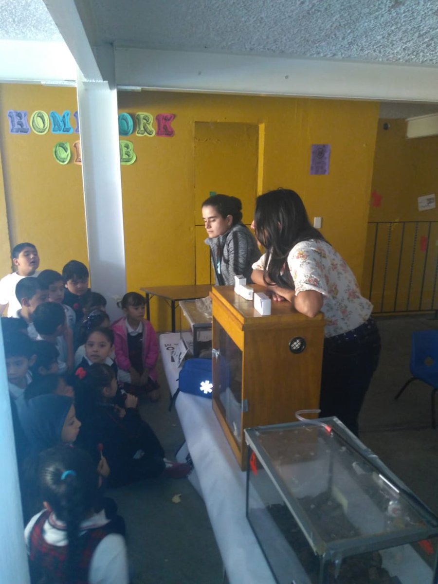 IBt_Cantil's tweet photo. Plática sobre reptiles venenosos de Mexico a niños de primaria y secundaria de la escuela Diamante. 
Impartida por los estudiantes del Dr. Alagón y del herpetario @IBt_Cantil del @ibt_unam
#reptiles #UNAM #Ciencia https://t.co/xPSuxgzh7w