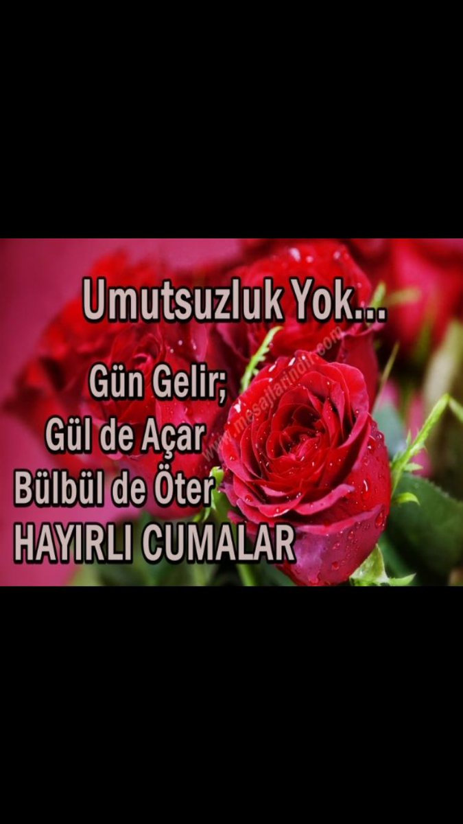 HÜSEYİN ALP (@hseynalp5) on Twitter photo 