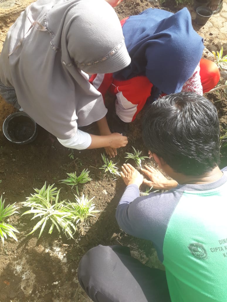 bwangiberkebun's tweet photo. Pagi jumat ini, Rekan Komunitas @IDberkebun bersama UPTD Rogojampi @dpubmcktr_bwi tanam bibit dan ayoman di SMP1 Rogojampi @rnc_py @zulfy_py @bayuhadiyanto2 https://t.co/5GfGiKbqpz