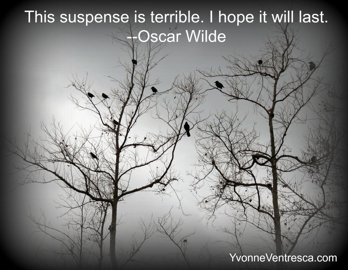 YvonneVentresca's tweet image. #WriteOnCon2019 is this weekend! I&apos;m speaking about 
Suspense at 11:30 am on Saturday. Check out the other amazing authors and agents here: 
writeoncon.org/schedule/