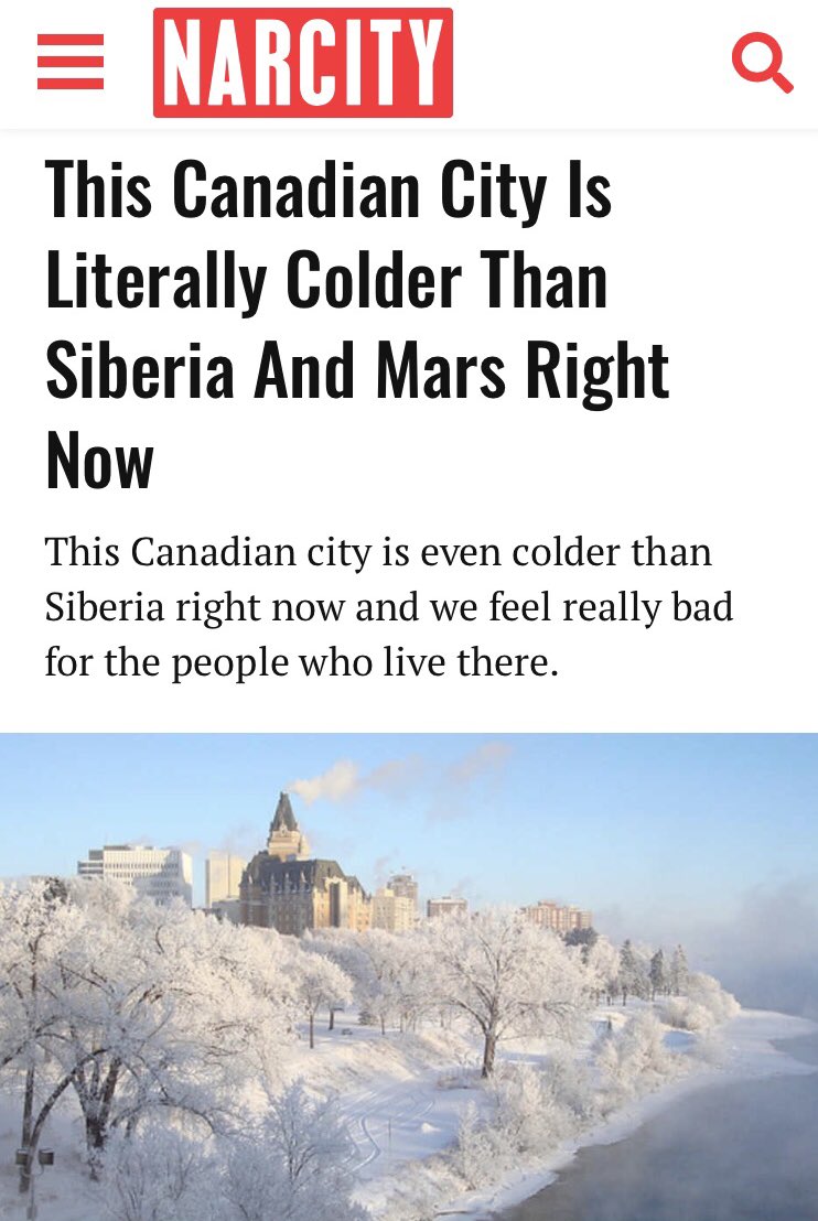 Saron Fanel tweet media