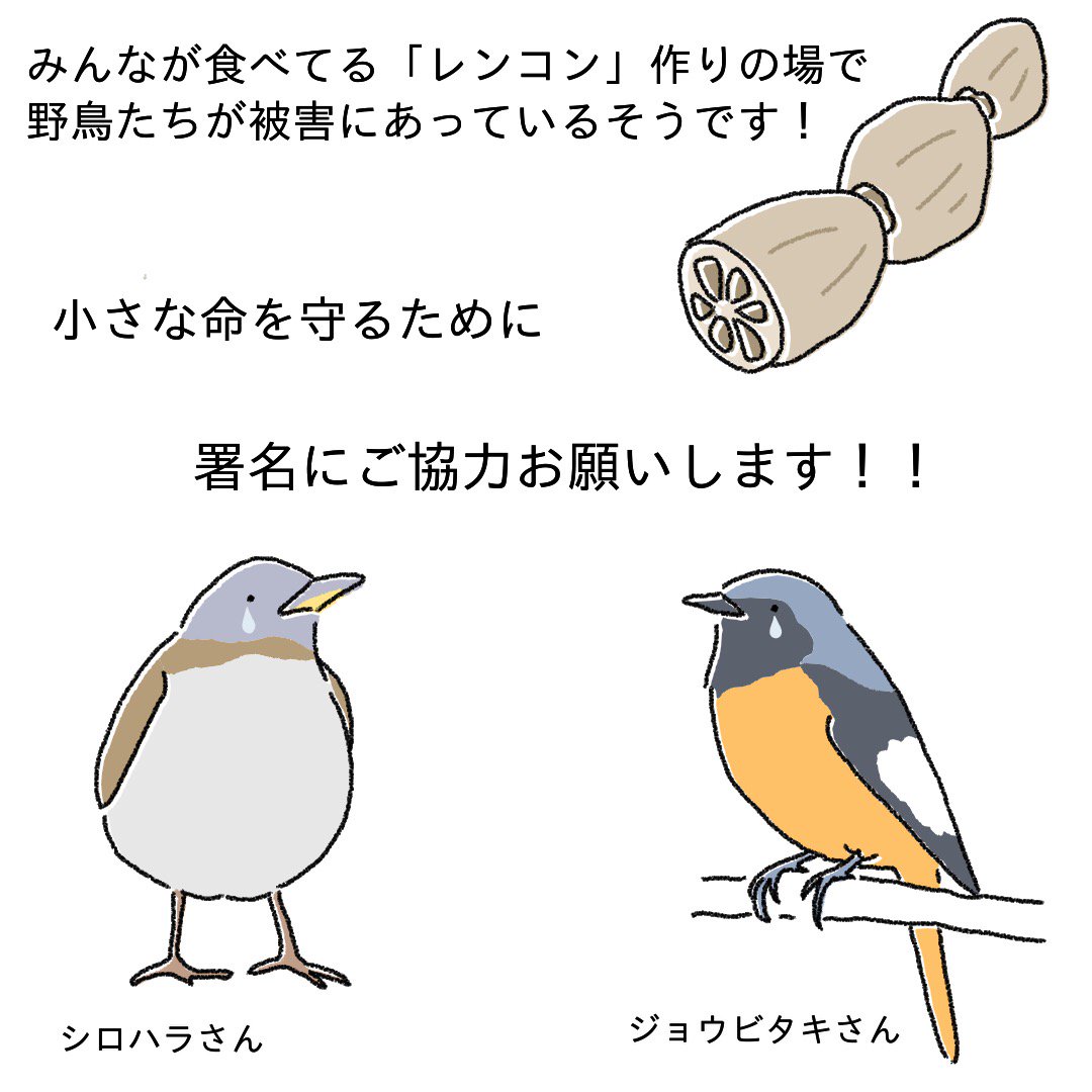 Twitter पर ちょろぼー ゆるイラスト お返事ありがとうございます イラストも描いてみました こちらをinstagramに載せたいと思います たくさんの方に知っていただけますように