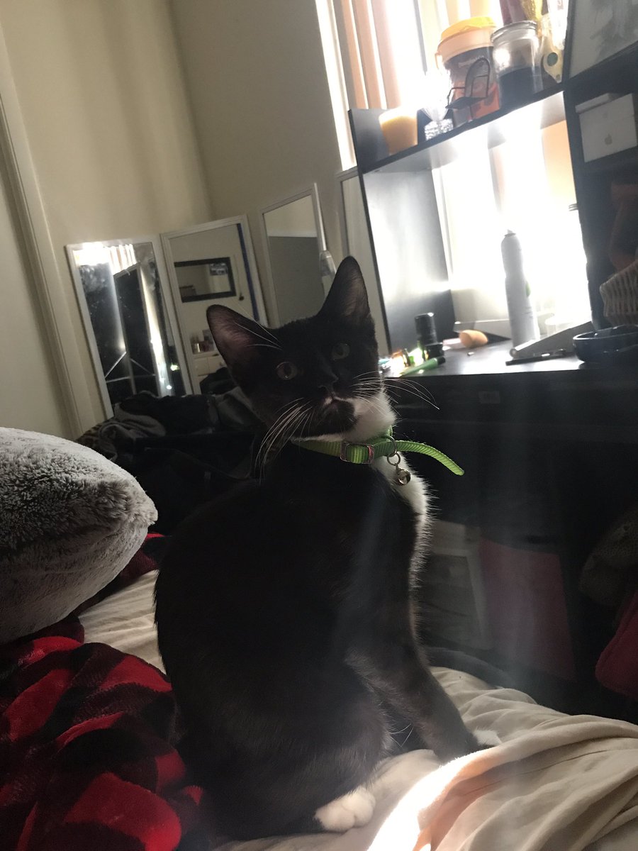 FeebeSue's tweet photo. @germanndasavage my handsome Demetri 🥰❤️ https://t.co/YCNOZdtUJq