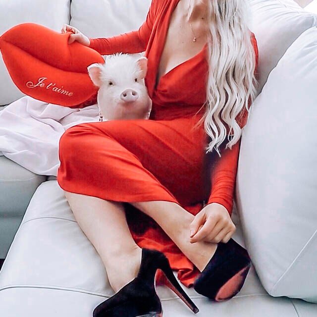 👇🏻Tag your cuddle buddy🐷🥰