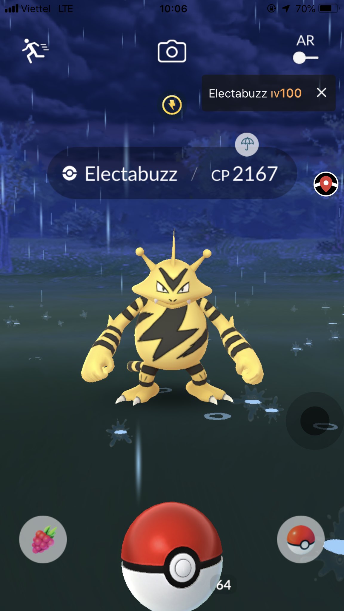 Electabuzz 100 Iv atelieryuwa.ciao.jp