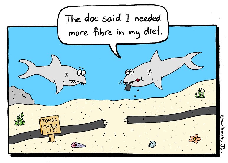 cartoonsbyjim's tweet photo. The Pacific nation of #Tonga was without Internet for two weeks because their submarine fibre cable was damaged. Was it an accident? Sabotage? Or maybe this? https://t.co/W0iTdY6yCI via @paulbrislen @ITP_nz #ContinuityIsKey #cartoon https://t.co/qbV9wTko9c