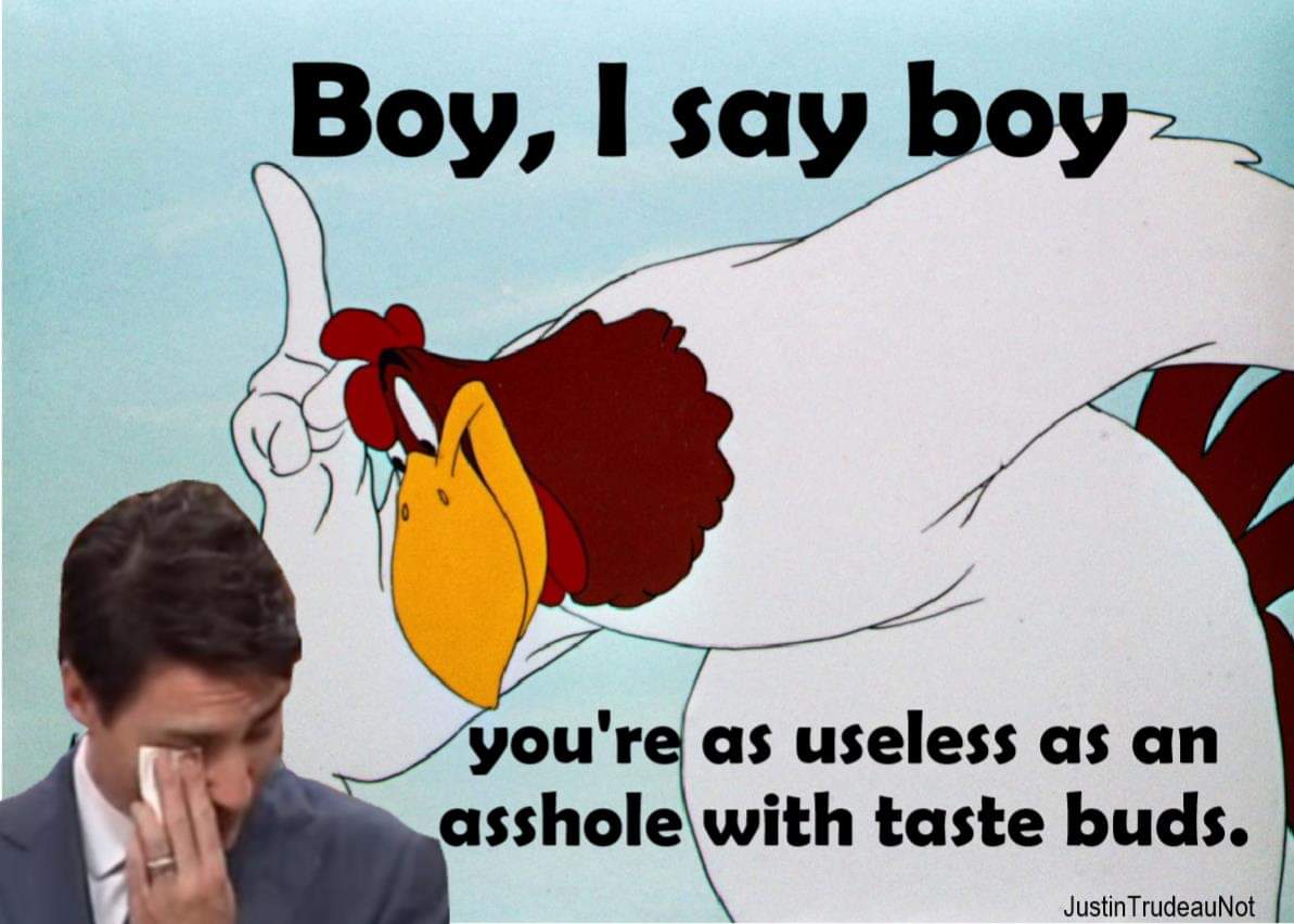 TerryHa42369039's tweet photo. Nailed it https://t.co/ULlWHR1z42