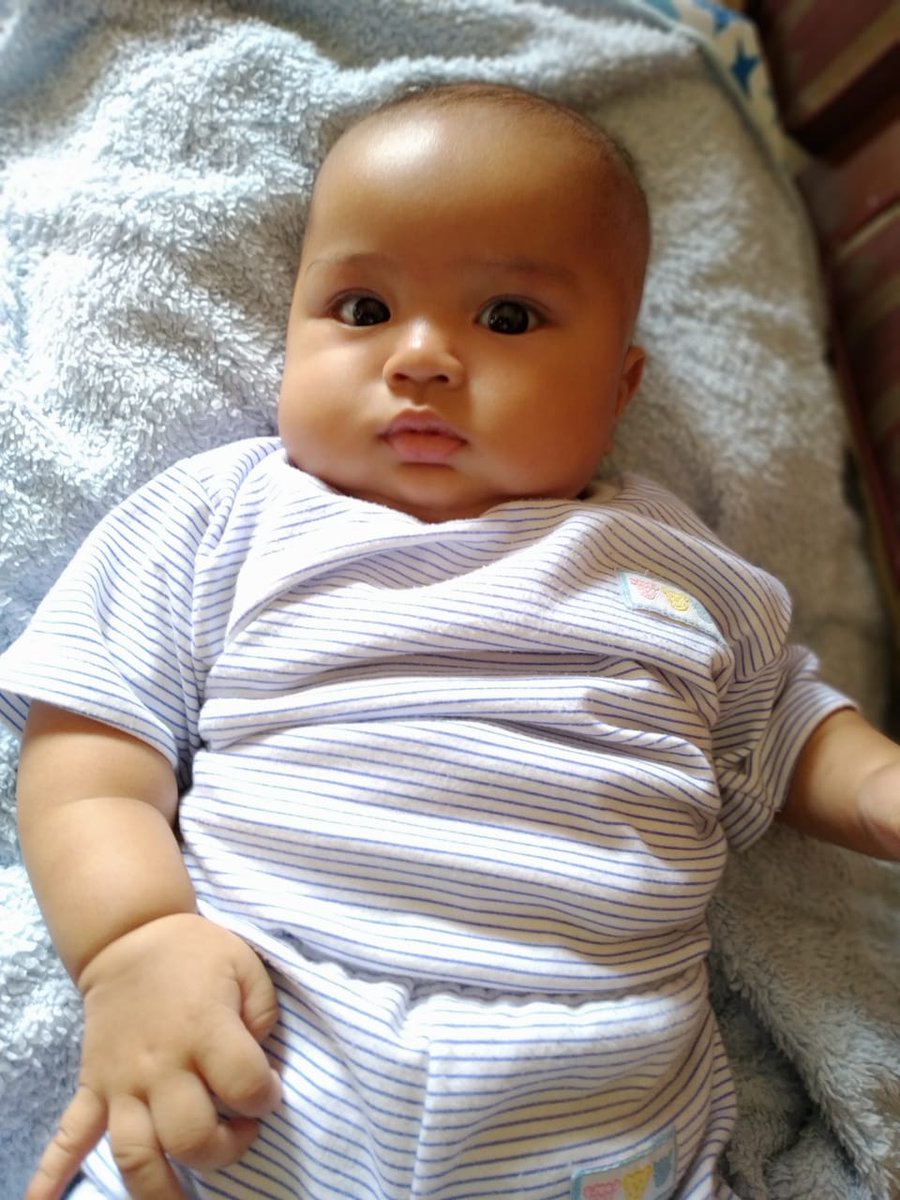 Satya Ali Widodo tweet media