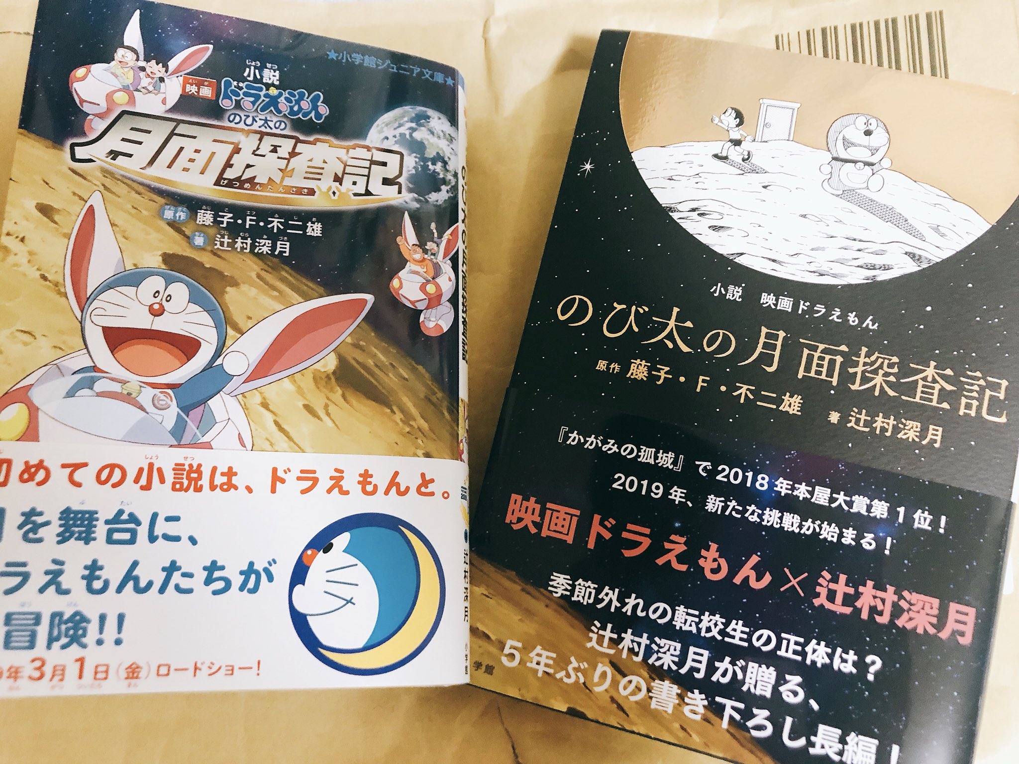 Sad Day これが初めてドラえもんに触れる人にでも分かるようにと ドラえもん のび太 しずかちゃんとお馴染みの登場人物には作中で丁寧な説明がされます その全てに愛が詰まっていて 辻村さんが思っているそれぞれの人物像として説明がなされます