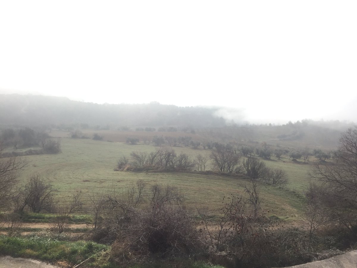 Ruth Troyano Puig (@rtroyano) on Twitter photo .<a href="/CellerMiqRoca/">Celler Miquel Roca</a> <a href="/AtgPallars/">Al teu Gust, Pallars</a> Matí emboirat als peus del #montsec tastant #vinspallaresos que cultiven el paisatge d’alta muntanya i abracen les varietats autòctones com la #brocada - #trepat i les elaboracions en #àmfora #vicatalà .<a href="/CellerMiqRoca/">Celler Miquel Roca</a> <a href="/AtgPallars/">Al teu Gust, Pallars</a> Matí emboirat als peus del #montsec tastant #vinspallaresos que cultiven el paisatge d’alta muntanya i abracen les varietats autòctones com la #brocada - #trepat i les elaboracions en #àmfora #vicatalà