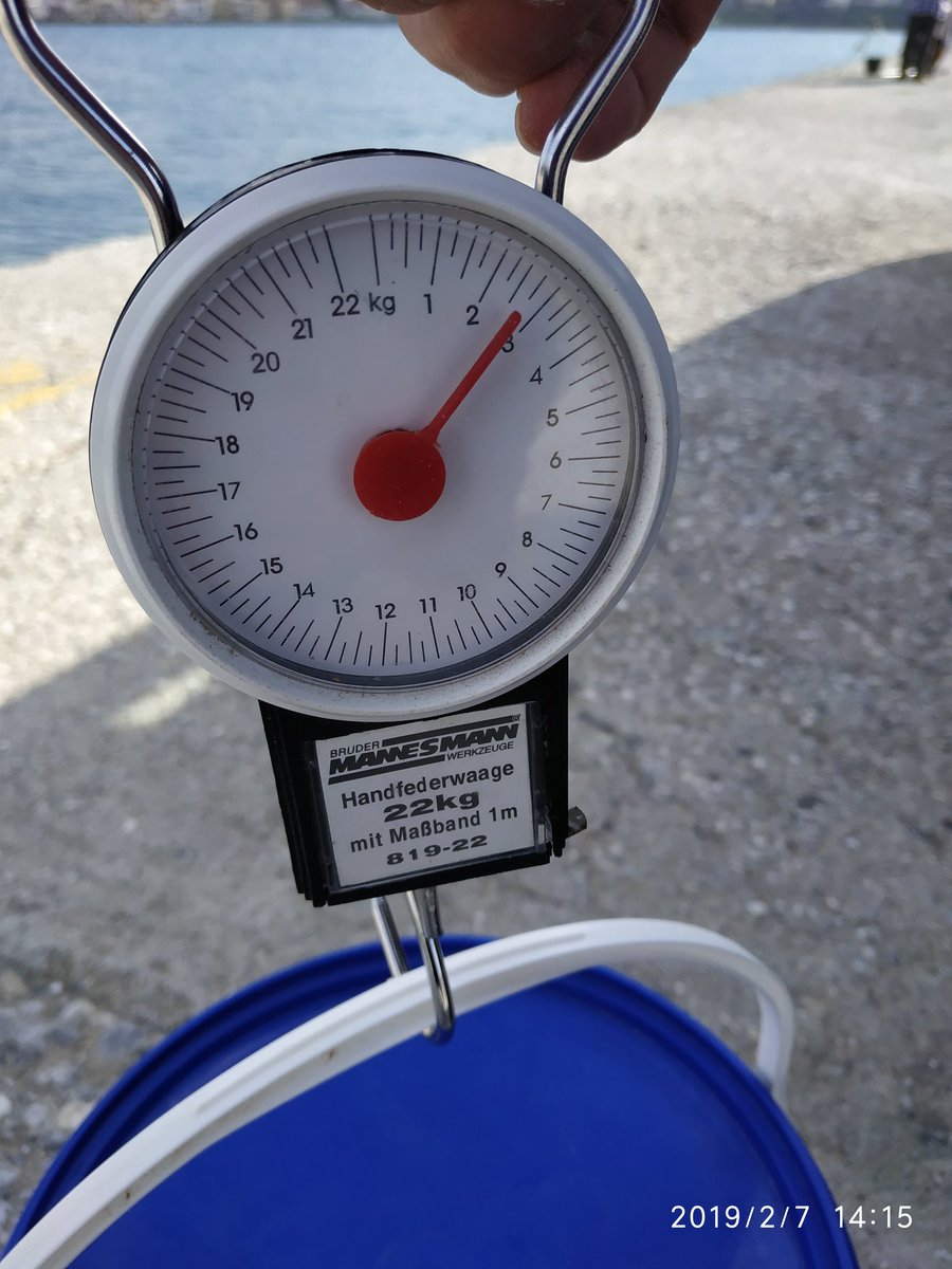 Hellas Fishing... Τα Πάντα Για Το Ψάρεμα (@FishingHellas) / Posts / X