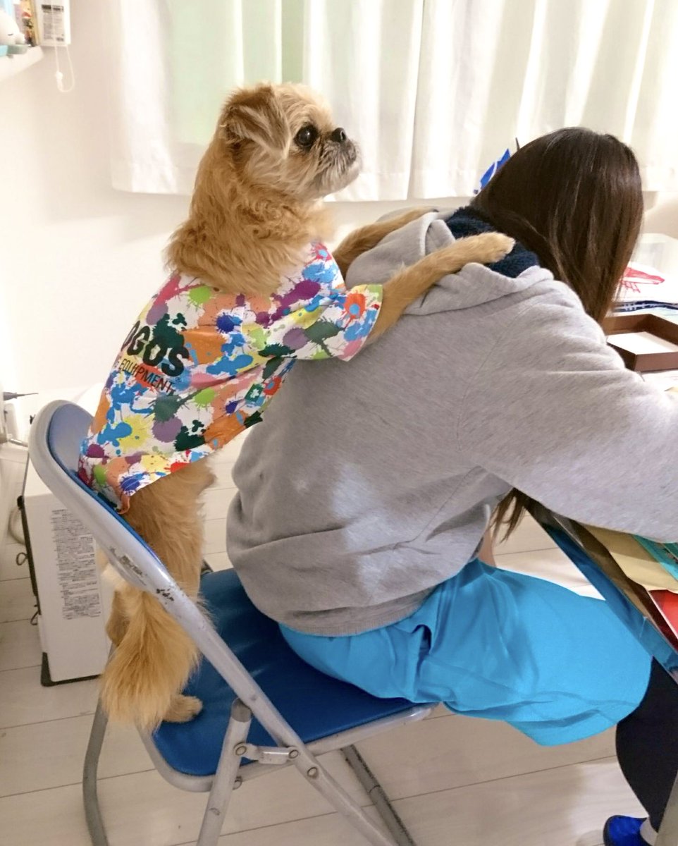 rin_official27's tweet photo. パパぼっちくん
ずーっと後ろにいる♡笑
かわいい!!!!
#marvelouspro
#marveldogs https://t.co/Xqd5FT1vbA