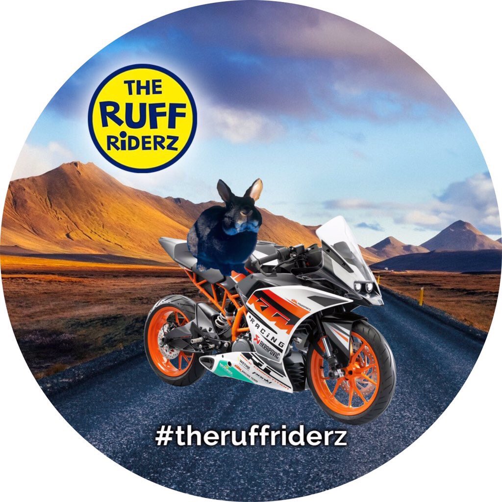 theruffriderz's tweet photo. @CuteBunnyFan Special Delivery!! You are officially a Ruff Rider!! Welcome to the club. #TheRuffRiderz https://t.co/CWXWUfd1pj