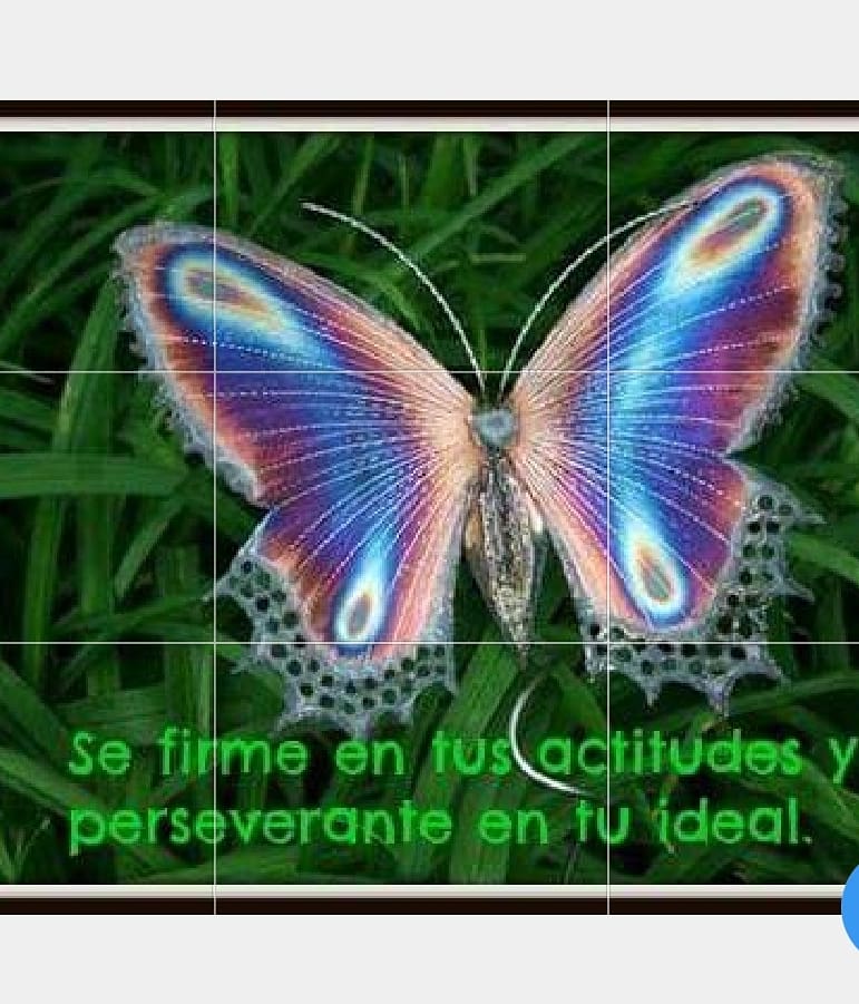 mlluisar's tweet photo. Contagia tu entusiasmo, contagia tu alegría por mejorar siempre 💪 https://t.co/U17OxHG5Jl