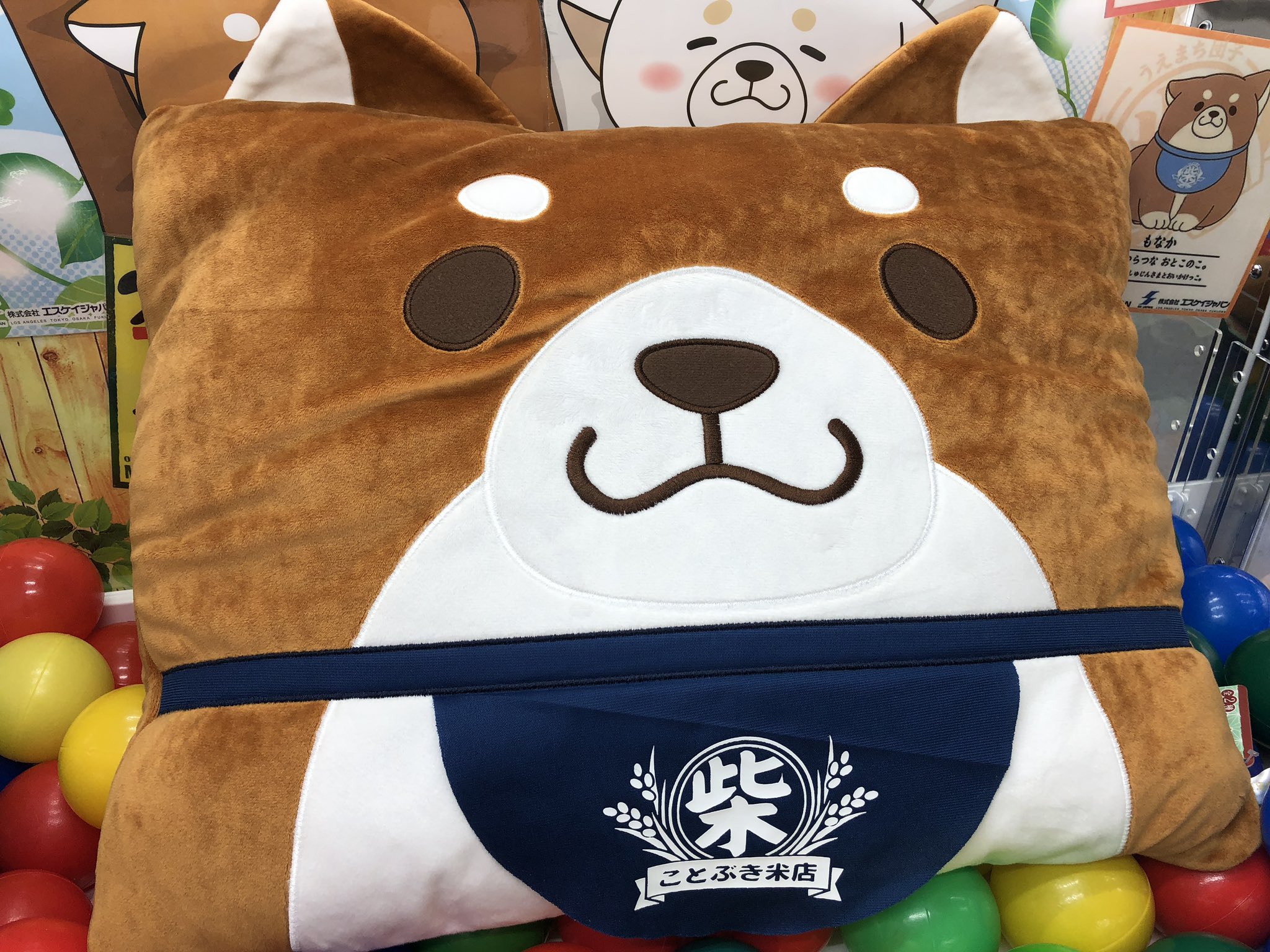 マンガ倉庫日向店アミューズ 忠犬もちしば もちもちスクエアクッション 全2種 入荷しましたー 手触り最高 おかか と うめ の2匹が登場 忠犬もちしば もちしば もちもち スクエアクッション クッション もちもちクッション