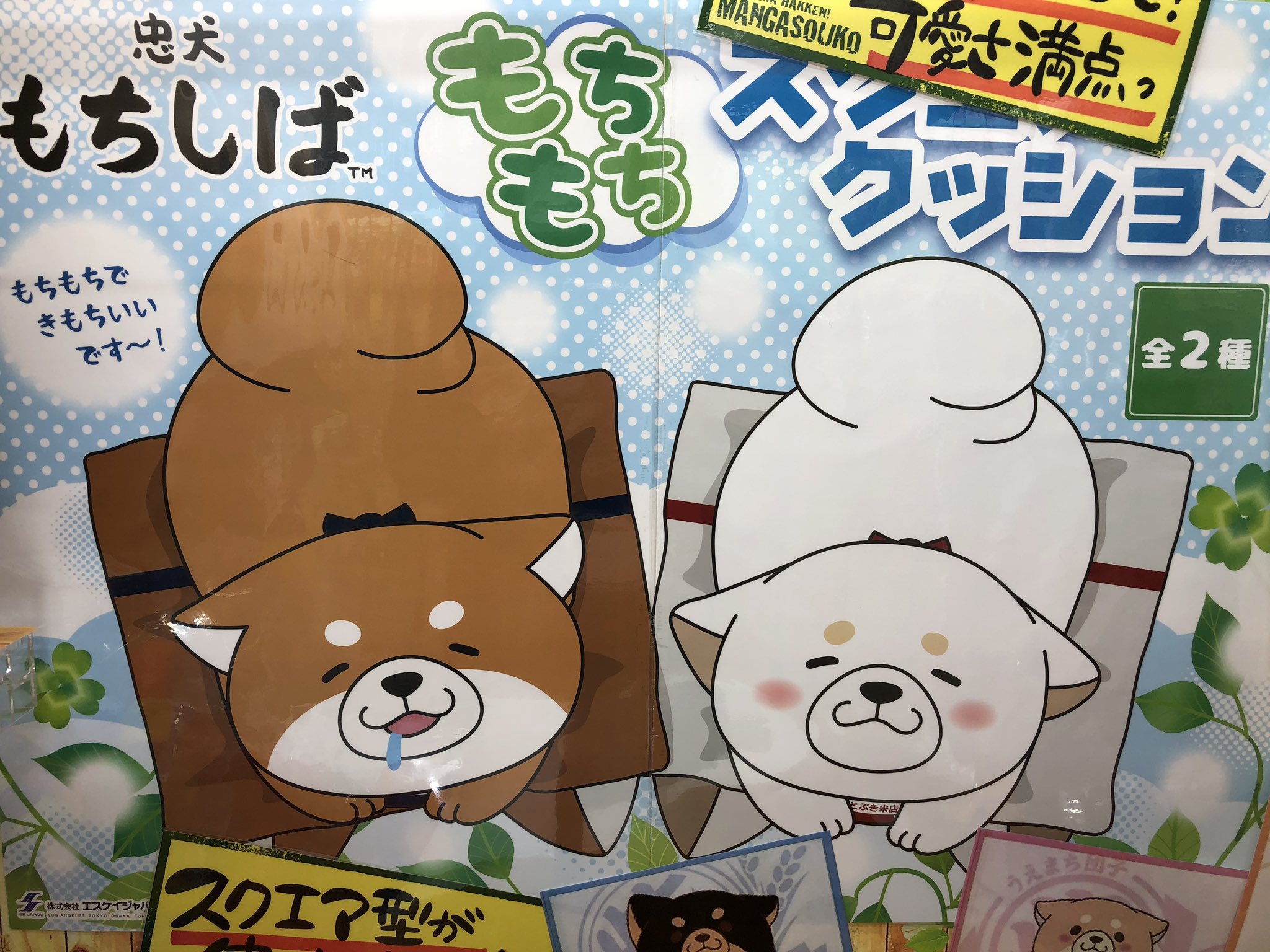 マンガ倉庫日向店アミューズ Twitterissa 忠犬もちしば もちもちスクエアクッション 全2種 入荷しましたー 手触り最高 おかか と うめ の2匹が登場 忠犬もちしば もちしば もちもち スクエアクッション クッション もちもちクッション