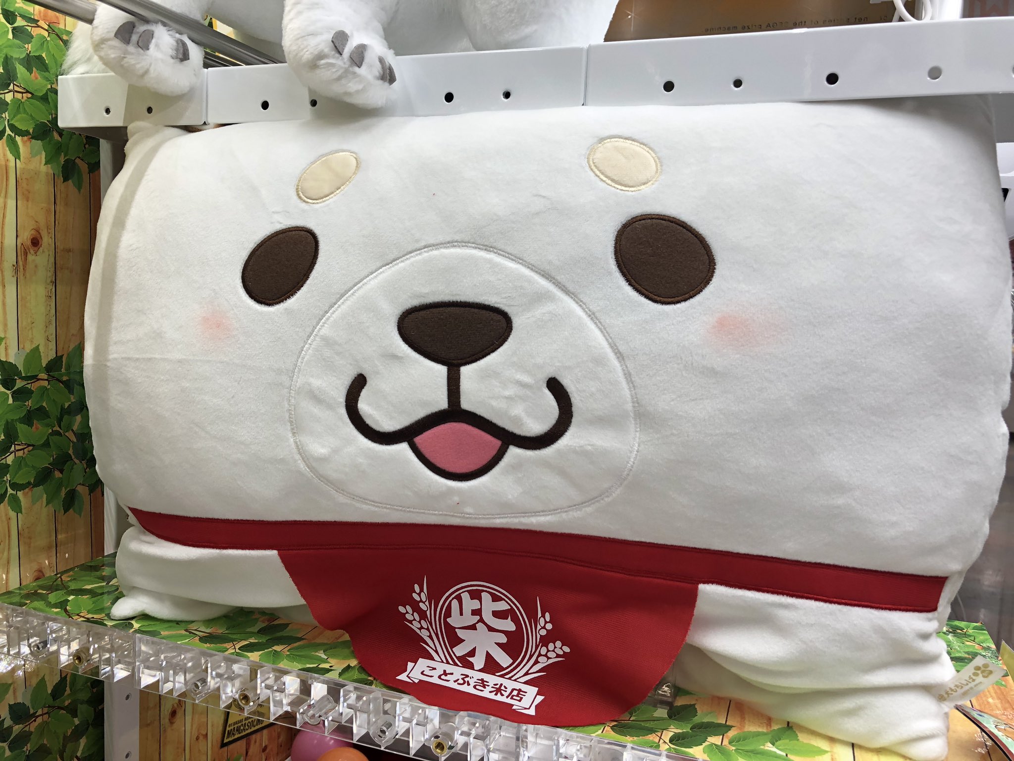 マンガ倉庫日向店アミューズ Twitterissa 忠犬もちしば もちもちスクエアクッション 全2種 入荷しましたー 手触り最高 おかか と うめ の2匹が登場 忠犬もちしば もちしば もちもち スクエアクッション クッション もちもちクッション