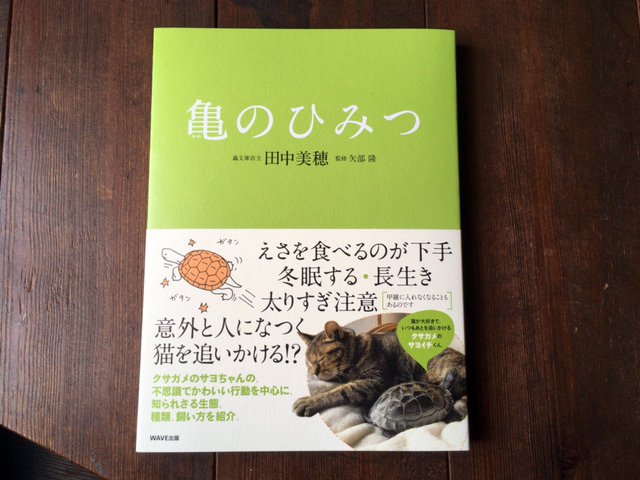 蟲文庫 田中美穂 Sur Twitter 亀のひみつ Wave出版 4刷届きました ほんとうに ありがたいという言葉しかありません ひきつづきどうぞよろしくお願いします T Co Zl5adetlio Twitter