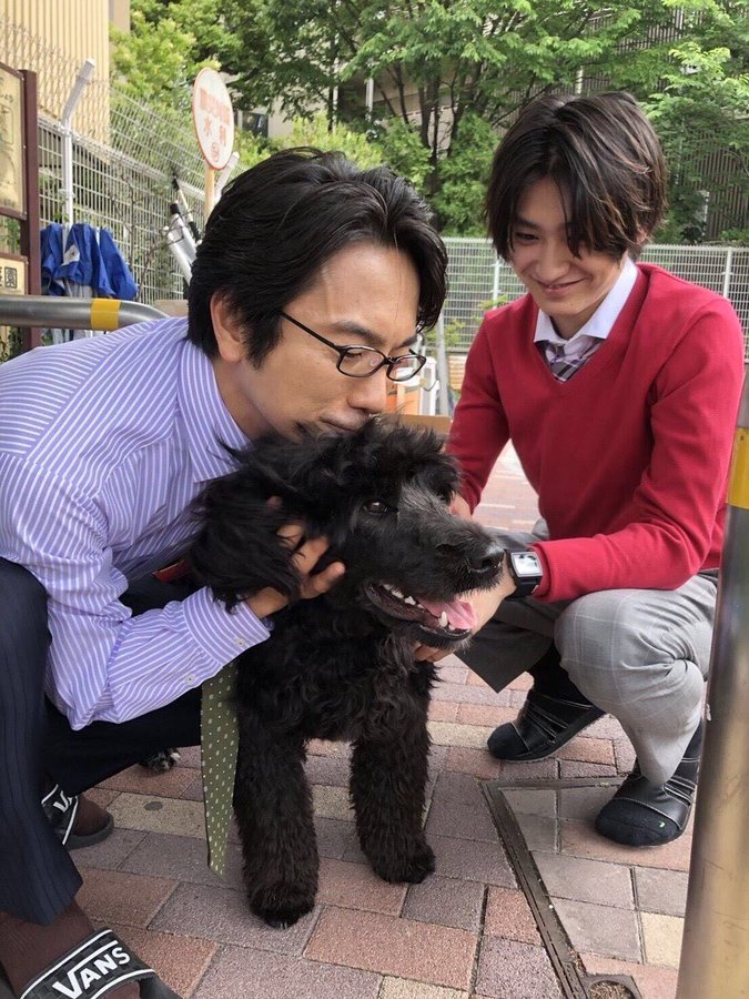 吉田鋼太郎は犬好き 愛犬の犬種や名前はなに ゆるりデイズ