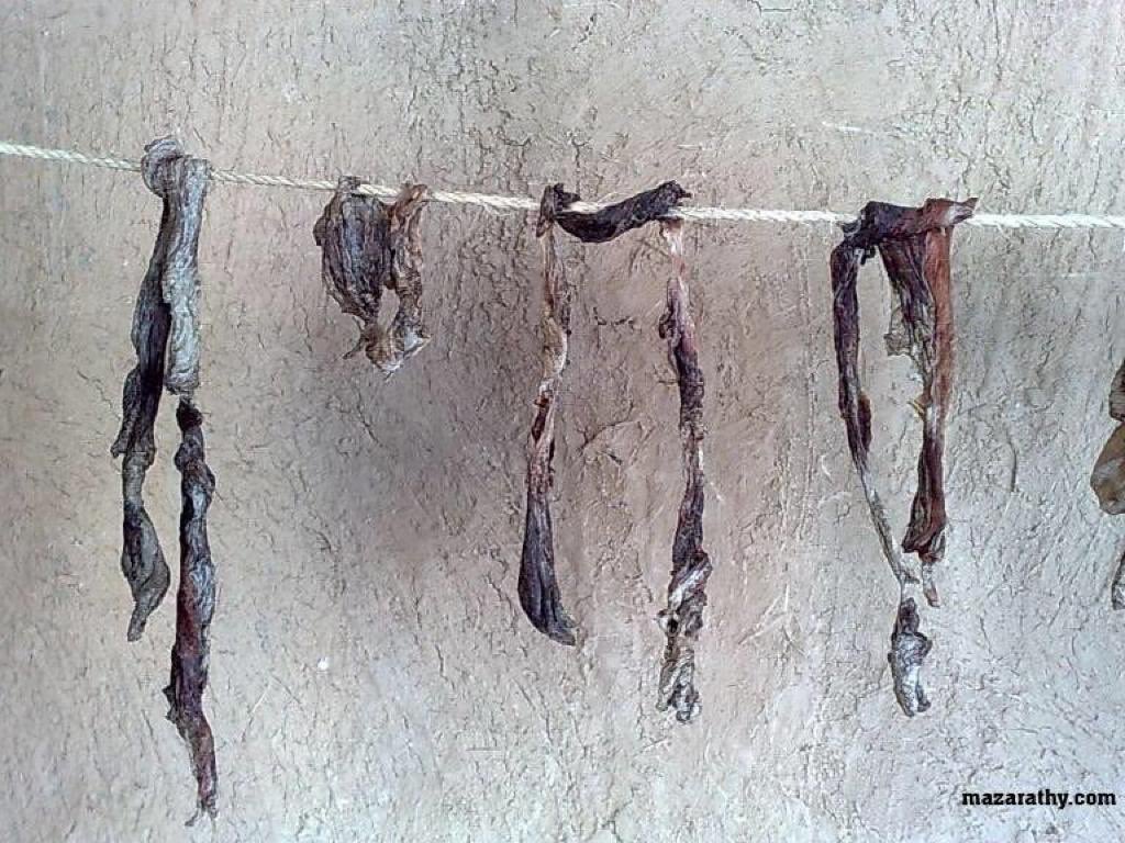 SalemAlSehman's tweet image. بهذه الطريقة كما يتضح من خلال الصور كان يتم حفظ اللحم قديما قبل الثلاجات يقطع ويملح ويعلق علي حبل في الهواء ماذا تسمي عندكم هذه الطريقه قديما.