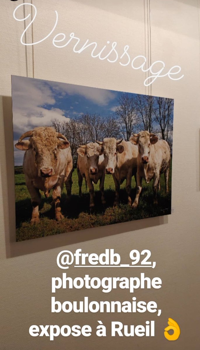 Très belle soirée hier avec la rencontre organisée par la Librairie Les Mots & Les Choses avec la romancière Fanny Chesnel. Puis le vernissage de l'exposition de la photographe Frédérique Berry : frederiqueberry.fr #BoulogneBillancourt