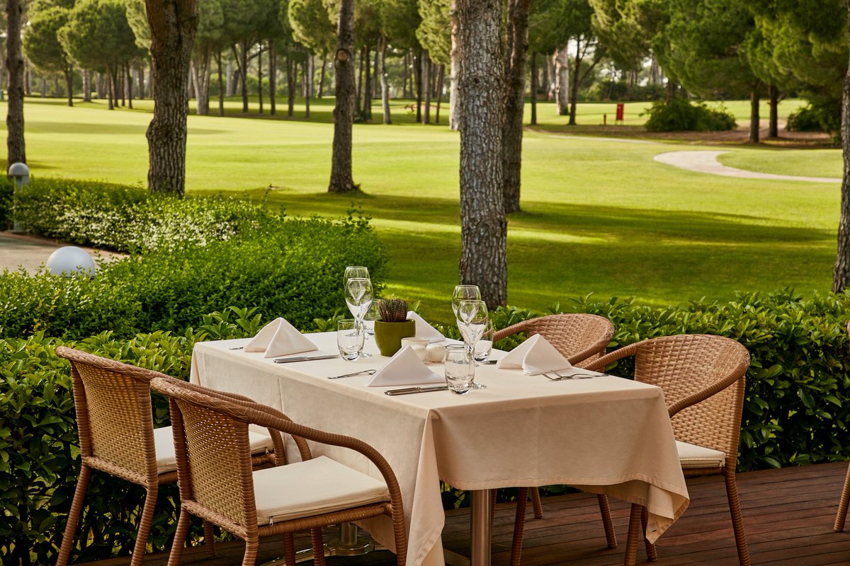 GloriaHotels's tweet photo. A most excellent setting...
https://t.co/t0to2vHr1v
#GloriaHotels #BecauseHereisGloria #GloriaVerde #SelectRestaurant #LuxuryHoliday https://t.co/tbOXcnffzy