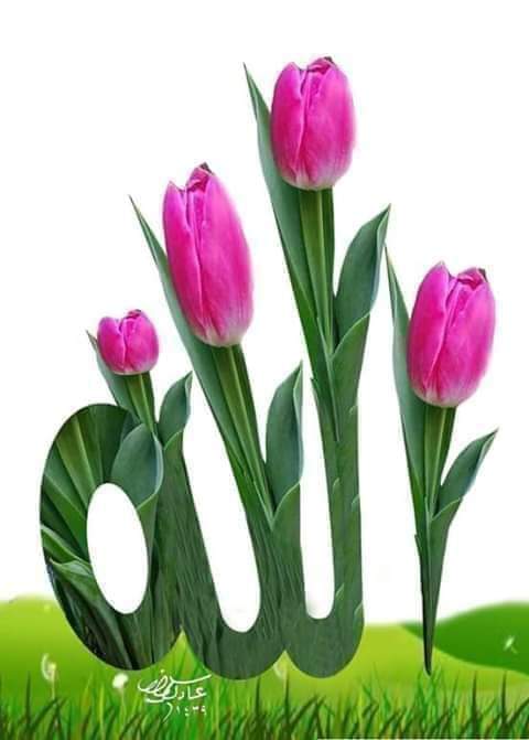 Motier Rahman (@rahmanmotier) on Twitter photo 