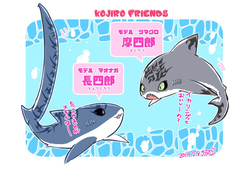 こちらが新キャラクターのしゃべる鮫です🦈🦈