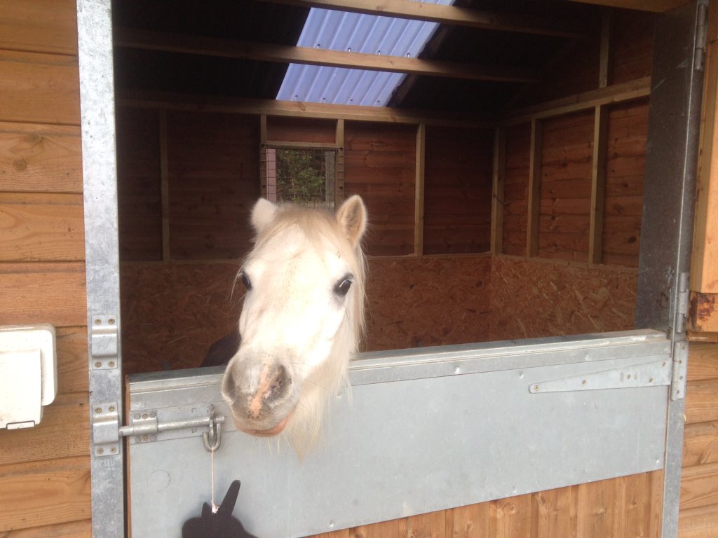 johnthedrainman's tweet photo. A Full range of keys  from stock  gk&amp;n and that's straight from the horses mouth! https://t.co/Q6cj3cyjFK