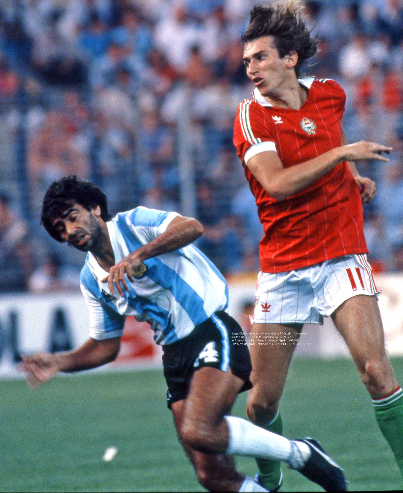 Марио кемпес 1978. Аргентина венгрия прогноз. 1982 аргентина бельгия. Убальдо фильоль 1978. Марио кемпес 1978.