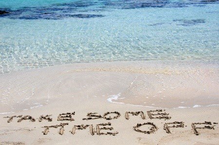 Workaway SA tweet media