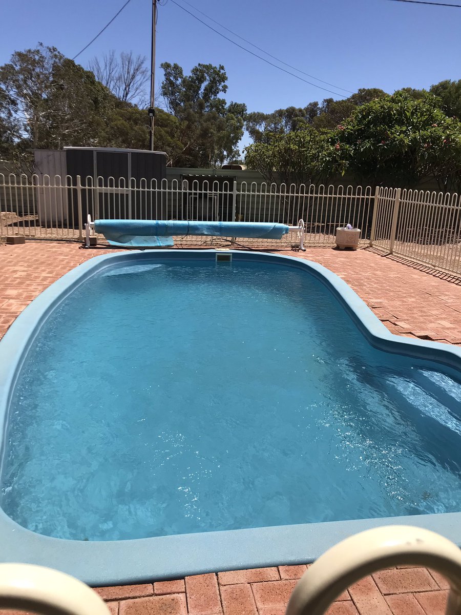 cateintoaction1's tweet photo. Think I won the first round of Pool Cleaning 👏🏼😁 https://t.co/pGu2Hrz8ui