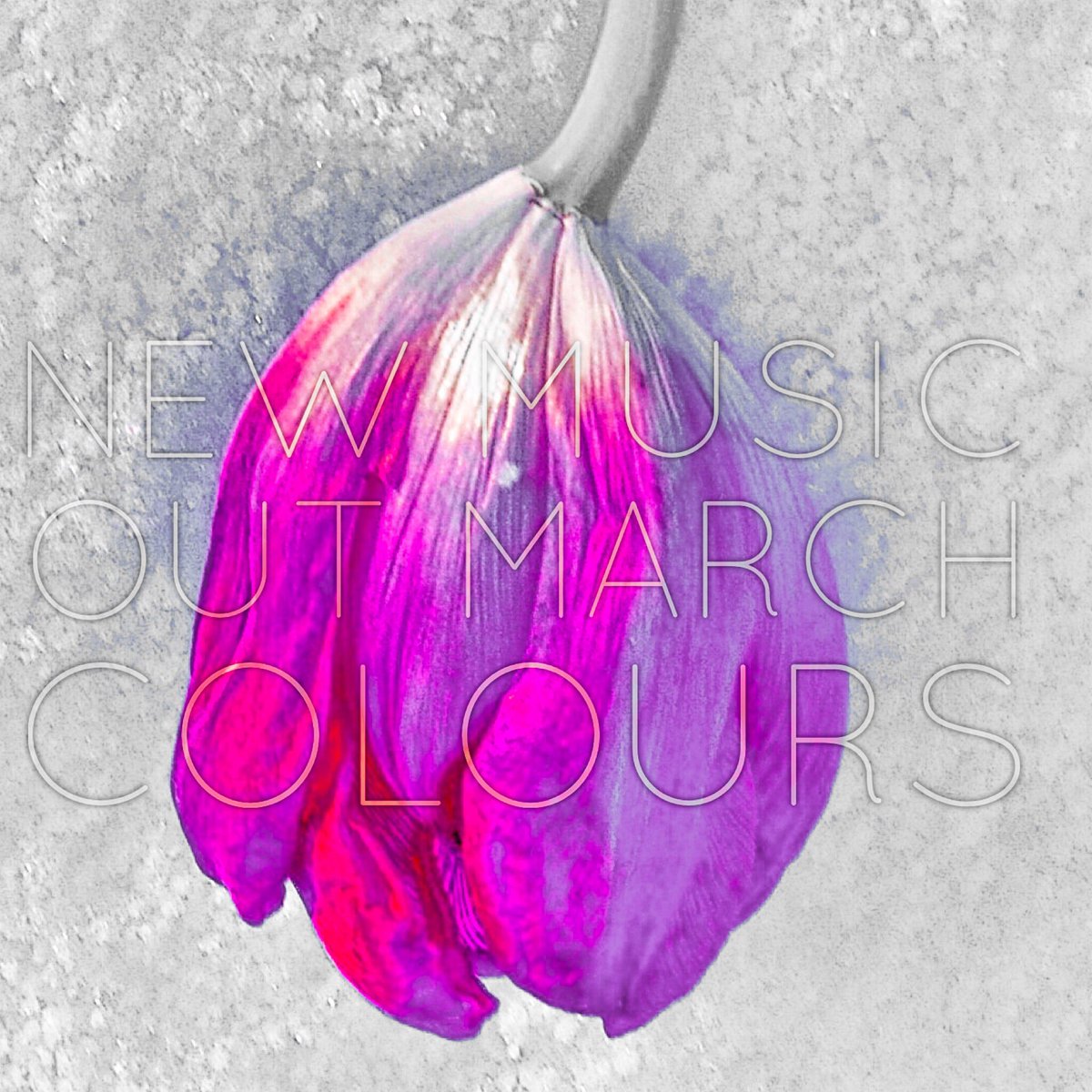 jaayns's tweet photo. New collaboration / New Music / OUT MARCH / #coloursofthenight / #dance / #NewMusicFriday / #house / #edm / @NarelleFrances https://t.co/3rxDLjQmI4