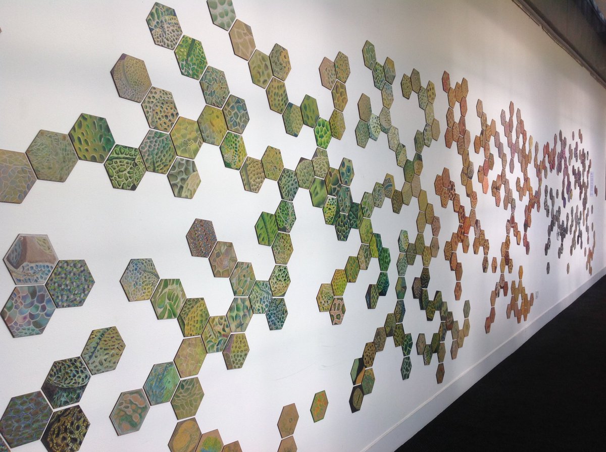 DonnaTaylorArt's tweet photo. PolliNation 2019 - now @CityScreenYork until March 6th #yorklearning #communityartproject #yorklearningtutors @DonnaTaylorArt @Karenwinship @sueclaytonart #yorkopenstudios2019 https://t.co/kMsbZmOz0K