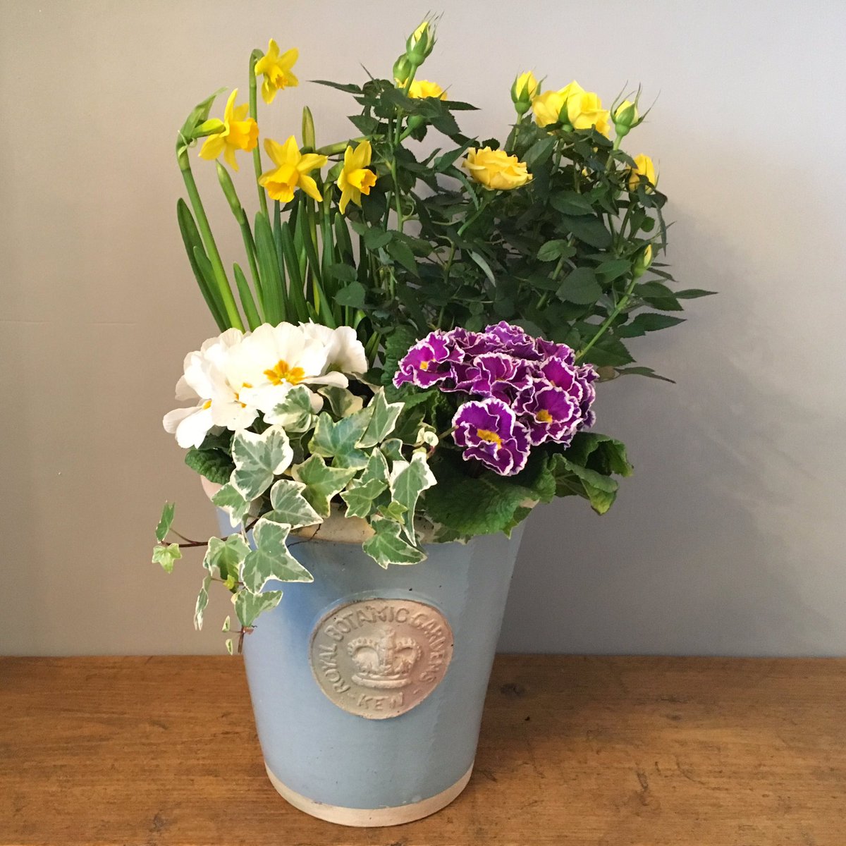 KendallsFlorist's tweet image. Spring is in the air! We have bouquets, planters and arrangements galore incl. this pretty planter. Our Spring Courses are selling out fast too, so be sure to book early. 
kendallsflorist.co.uk Tel:01727 860207.
#springflowers #springplanter #springarrangement #stalbans