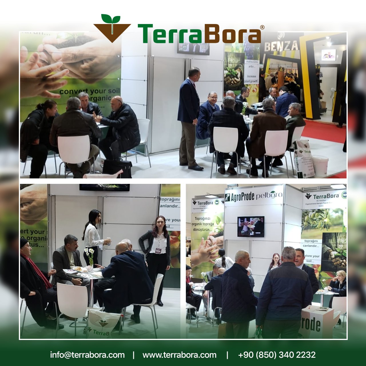 terrabora terrabora X